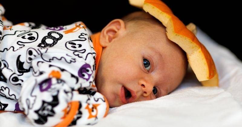 Pixabay/PublicDomainPictures